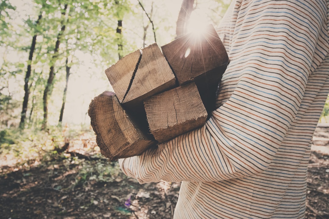 Campfire Curriculum: Engaging Outdoor Learning